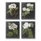 Stupell Industries Charming White Cottage Florals over Charcoal Gray Canvas Wall Art Set